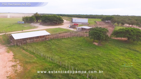 Os Tiranos - Bailando o chamamé [VDownloader].00_02_52_02.Quadro009_c8742da0d4663e8fa996a934835a5e924c41e1ff.jpg